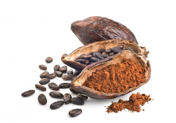 Шоколад на меду 70% какао «с Клюквой»