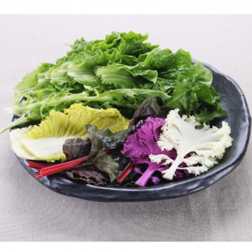 Тарелки для подачи закусок и салатов от Togama